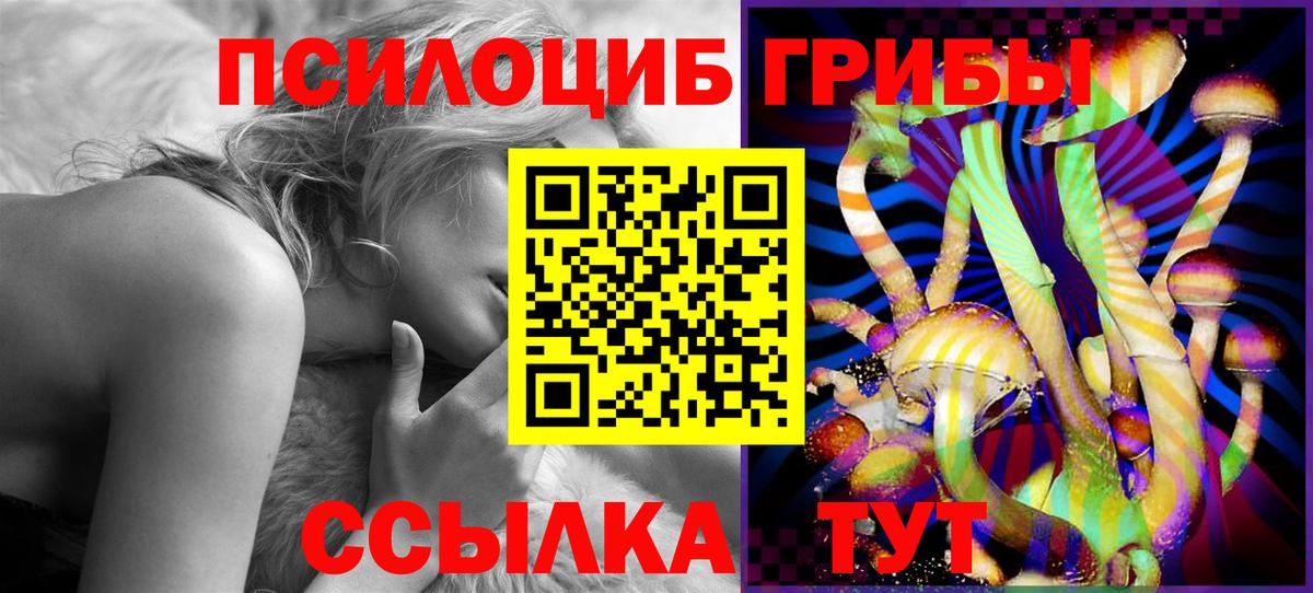 Псилоцибиновые грибы Cubensis Котлас