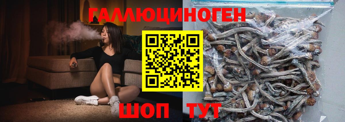 как найти закладки  Псилоцибиновые грибы ЛСД  Вход с VPN  Котлас 